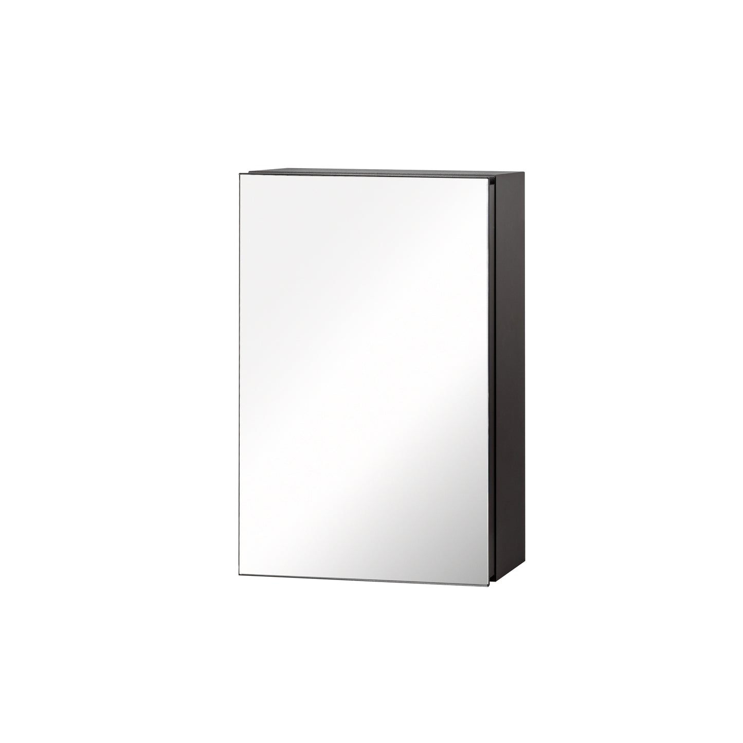 Mirror Cabinet With Swing Door